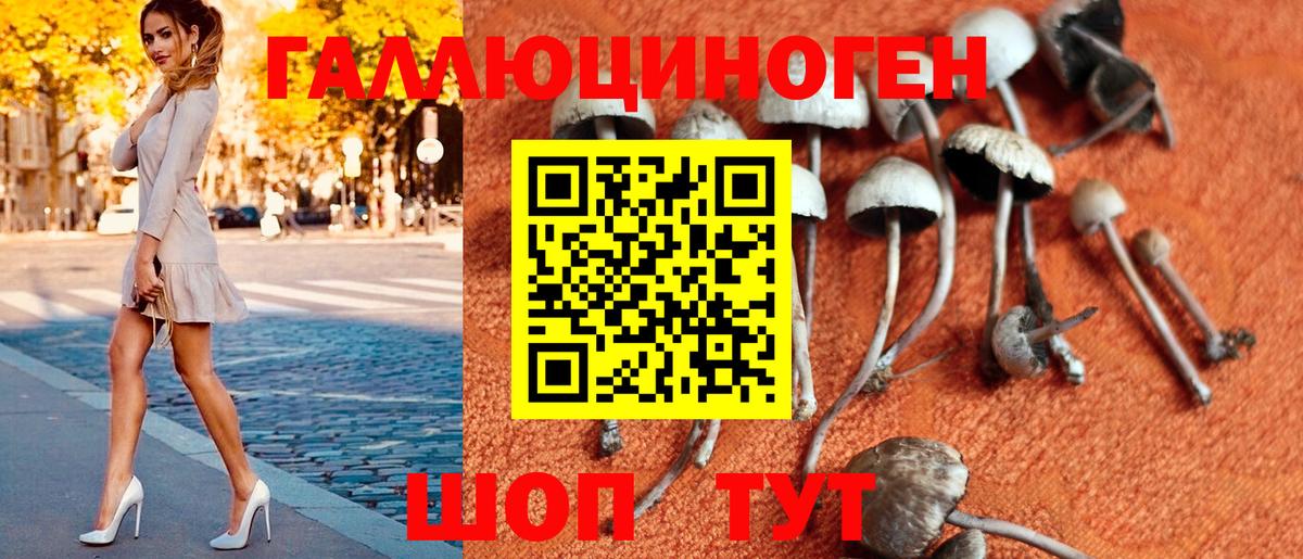Псилоцибиновые грибы GOLDEN TEACHER  Вход с VPN  Воркута 