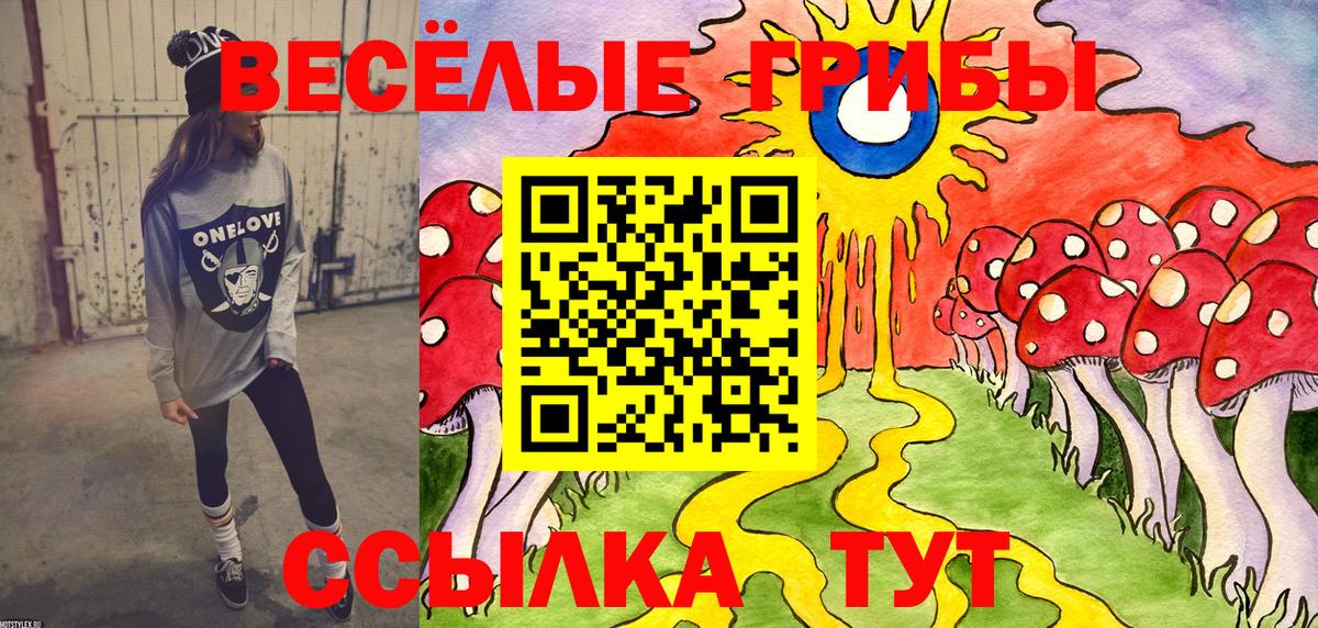 Галлюциногенные грибы мухоморы Воркута